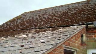 Learn How To Remove Black Mold From Asbestos, Oakland CA