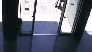Daily Fails Woman Vs Automatic Doors