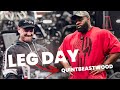 Pure muscle connexion   full leg day quintbeastwood