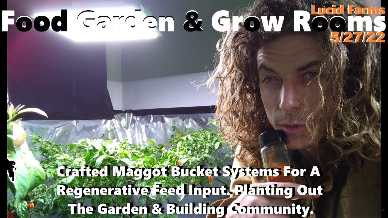 Crafted Maggot Buckets. Planting The Garden & Building Community. 5/27