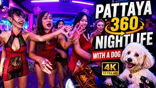 Pattaya is dead during low season, Soi 6, Buakhao, Tree Town, Chaiyapoon, 13/1, and more with a dog.