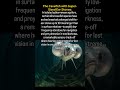 Do you know this kind of fish? Facts of the day #facts #factshorts #fish #oceanlife