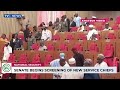 Senate Begins Screening Of New Service Chiefs