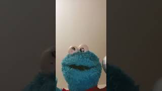 Why Cookie Monster Is In My Video