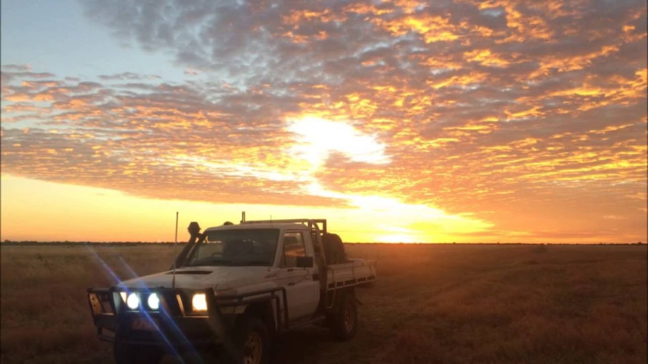 Snap shots of Station life on the Barkly Tablelands NT