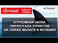 НАПАДЕНИЕ АКУЛ 2023| Огромная акула перепугала туристов на пляже Малаги в Испании