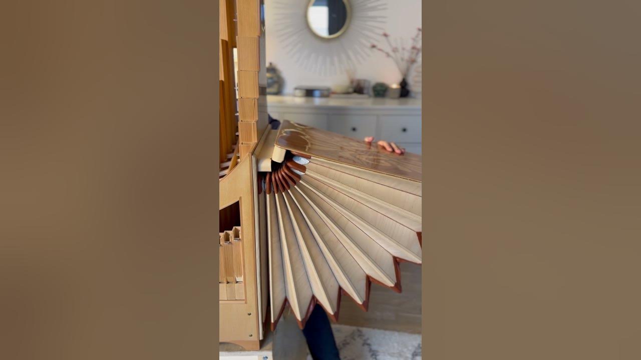 Bach’s Toccata on modern portative organ 🎶🎼 #baroquemusic #accordion #classicalmusic #organ