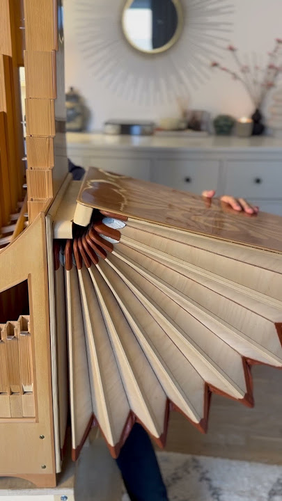 Bach’s Toccata on modern portative organ 🎶🎼 #baroquemusic #accordion #classicalmusic #organ