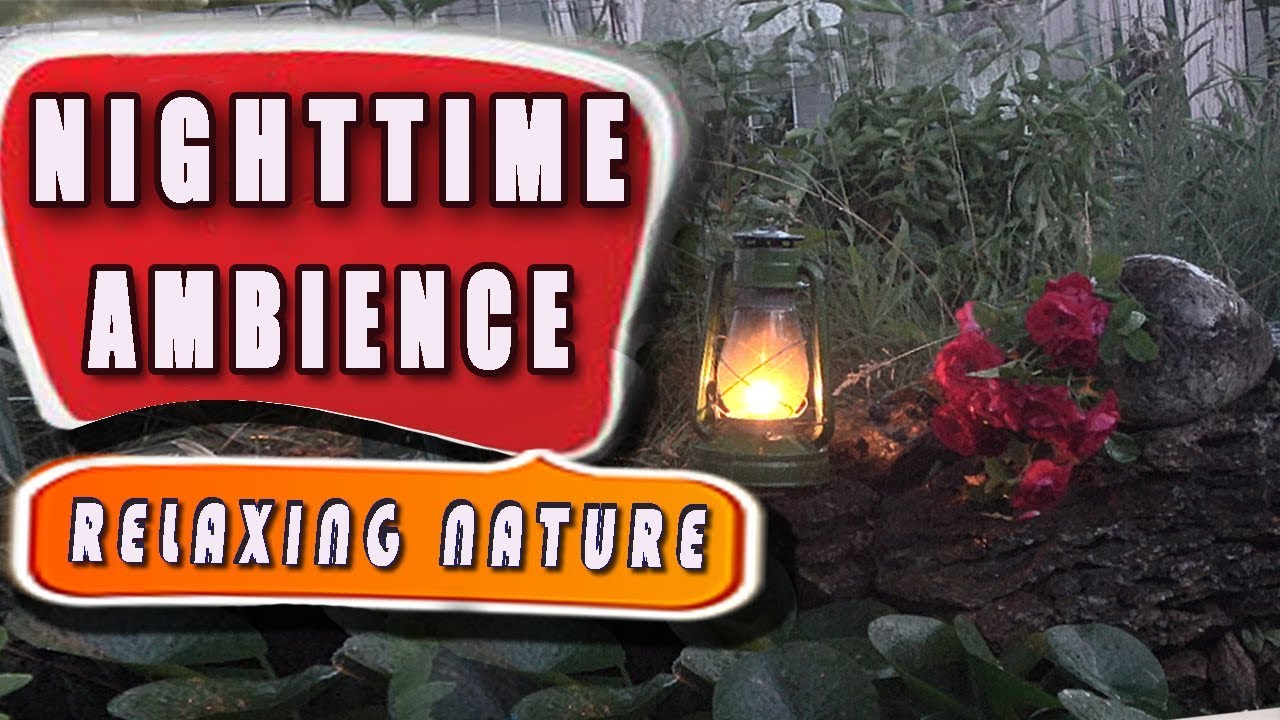 NIGHT TIME SOUNDS Relaxing Nature Sounds for Sleep. Insomnia