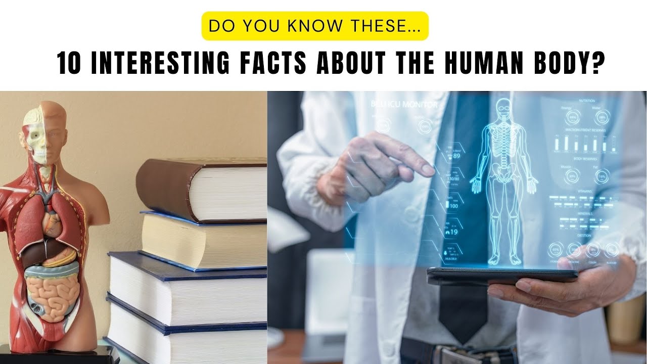 10 Interesting Facts about the Human Body - YouTube