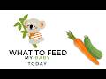 Baby food for 6 months, ZUCCHINI and CARROTS healthy baby recipes, Homemade baby first foods ideas
