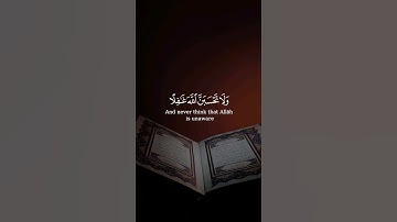 و لا تحسبن الله غافل عما يعمل #القرآن_الكريم #راحة_نفسية #quran #آيات #ياسر_الدوسري #تجويد #تلاوات