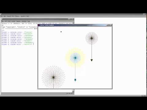 Drawing flowers in Python