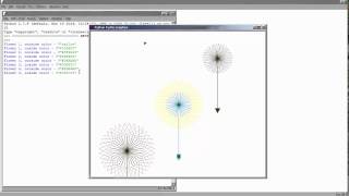 Drawing flowers in Python