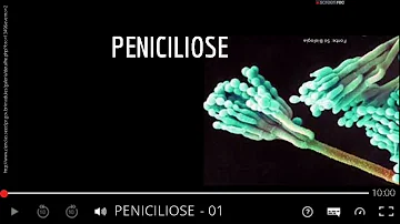 Quais são os sintomas da Peniciliose?