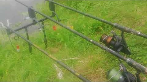 Carp Run 2022 JRC Radar CX