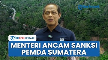Menteri Lingkungan Hidup Ancam Sanksi Pemda di Sumatera Buntut Bencana & Banjir Gelondongan Kayu