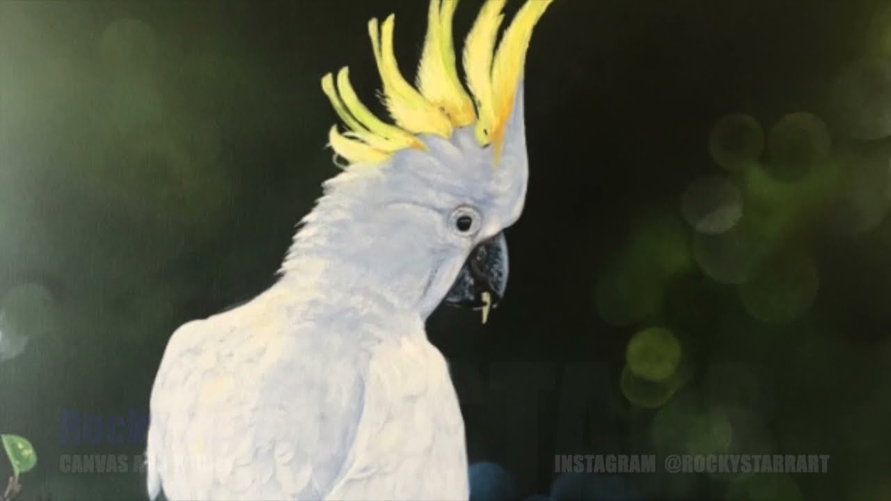 ROCKY STARR ARTIST - White Cockatoo Time-Lapse