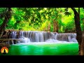 Study Music, Concentration, Focus, Meditation, Memory, Work Music, Relaxing Music, Study, ☯3596
