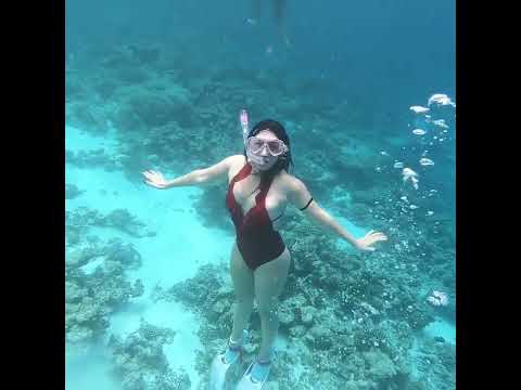 Video: 6 Wisata Snorkeling Key West Terbaik Tahun 2022