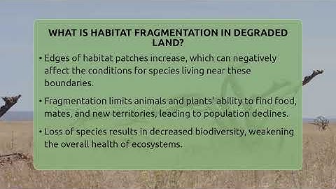 What Is Habitat Fragmentation In Degraded Land? - Ecosystem Essentials