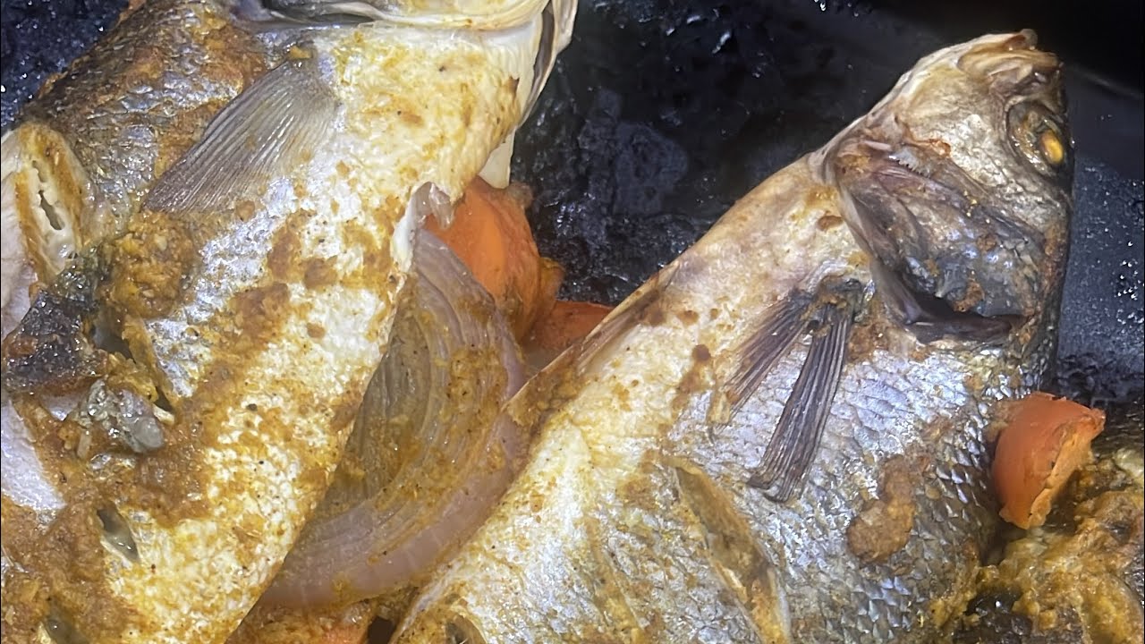 Fresh Sea Bass freezing (seafood processing in IQF)