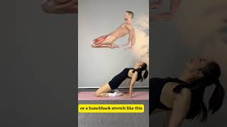 Must-Do at Home—Waist’s Favorite Four Stretch Moves #exercise #abs #sports