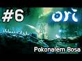 Pokananie bossa i nowa kraina tuż tuż #6 Ori and the will of the wisps
