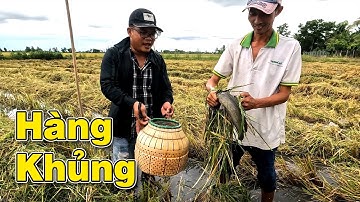 Săn Bắt Cá Tóm Gọn Cá Trê Khủng, Ku Khải Săn Bắt Rắn Và Cái Kết/Catch The Fish/NGÃ NĂM TV
