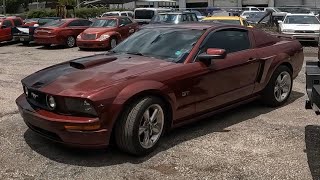 Ford Mustang GT 4.6 Tune UP! Special Ford Plugs