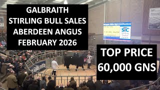 Galbraith Stirling Bull Sales United Auctions Aberdeen Angus February 2026