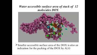 Clustering of doxorubicin and its interaction with bio-polymers (alginates)