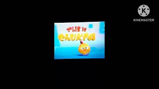 Pingoo Bird Chukpa Chicky Chicky Bekky Poyo Version