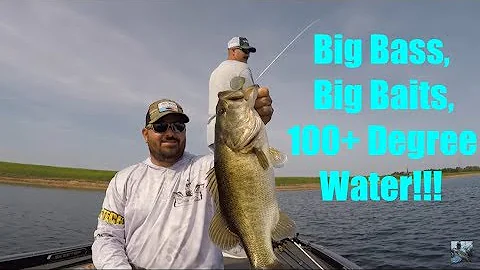 Summer Bass Fishing: Big Swimbaits in 100+ Degree ...