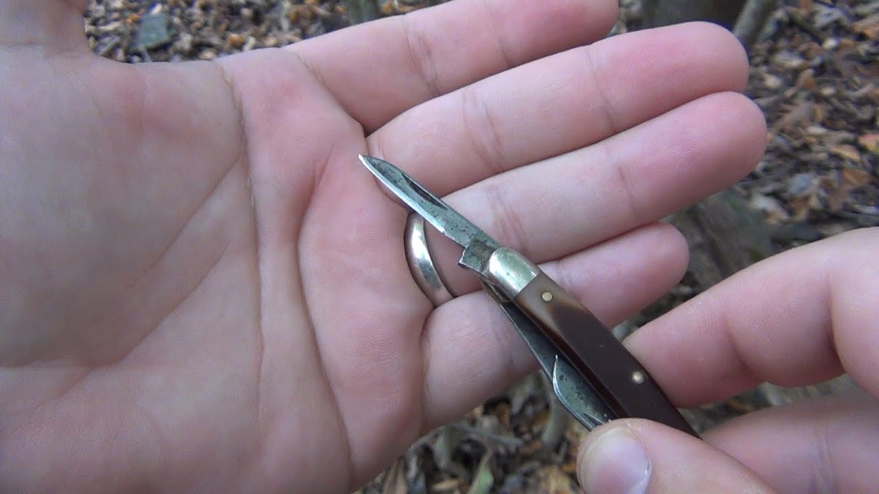 Cutting Down A Tree With A Tiny Non-Locking Pocket Knife...Easy Technique...