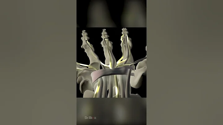 Carpal Tunnel Syndrome: Causes & Symptoms