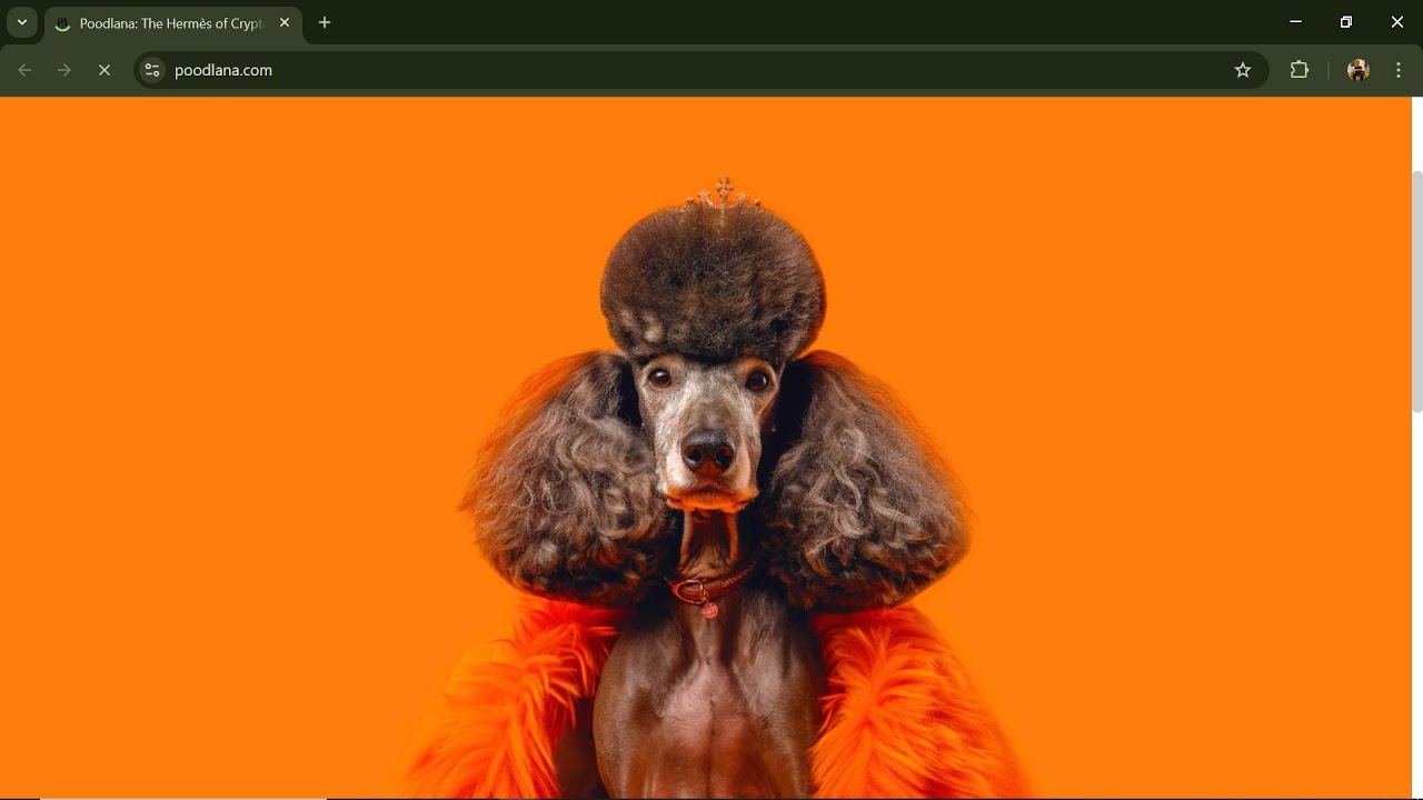 Is Poodlana (POODL) Token Legit Or a Scam ??