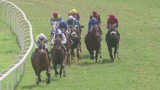 MONEY BAGS : THE PATEL AND PATEL RACING LLP B.T.C ANNIVERSARY CUP (GR II) (147)