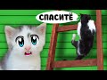 ЧЕЛЛЕНДЖ для КОТОВ! КТО ПЕРВЫЙ ПРОЙ