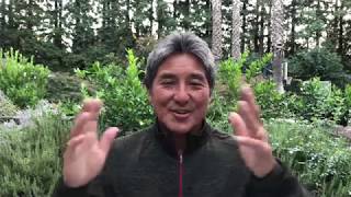 Young Global Leaders Summit 2017