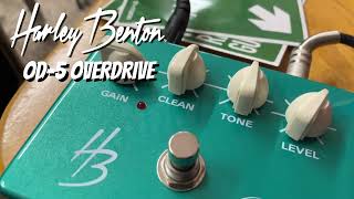 Harley Benton Custom Line OD-5 Overdrive (2025) - NO TALKING!