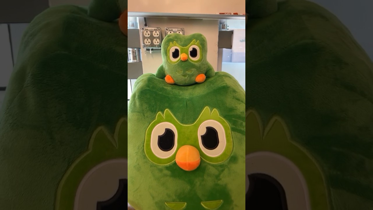 look at tiny baby then big baby then run ‼️‼️ 