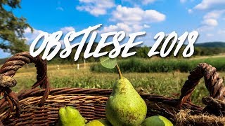 Obstlese 2018 - Breitenholz