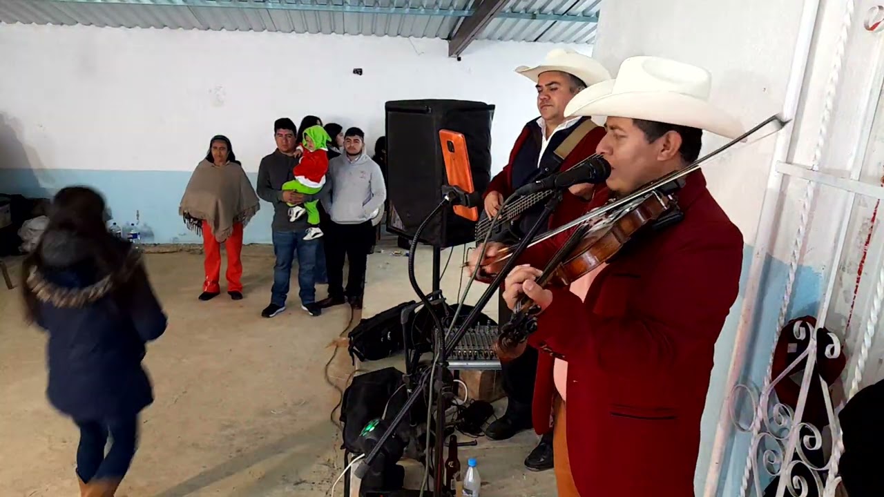 Trío Descendencia Del Castillo De M SL en Oroctipan Tetela De Ocampo Puebla 