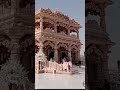 जरा वृंदावन आकर देखो श्याम बंसी बजाते#viralvideo#viralshort#shyamsundar#8000subscribers@YouTube