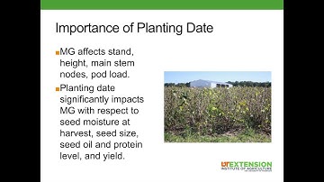 Soybean Management by Maturity Group