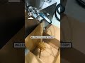 Satisfying gloop pressure clean 🧼😲               🎥: TikTok / skreli