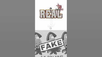 2 3 CON MỰC, LINH THỘN HƯ CỰC