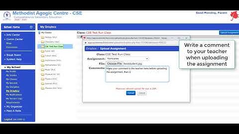 Sycamore Students Part II