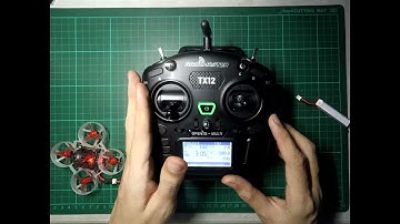 TX12 Auto Reset Timer